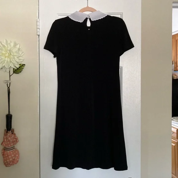 Black Knee-length Elle Dress with Peter Pan Collar - Picture 3 of 7